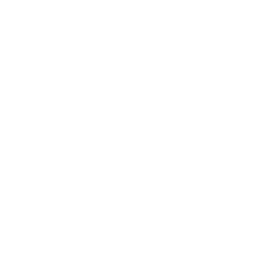 Prime Logo_White